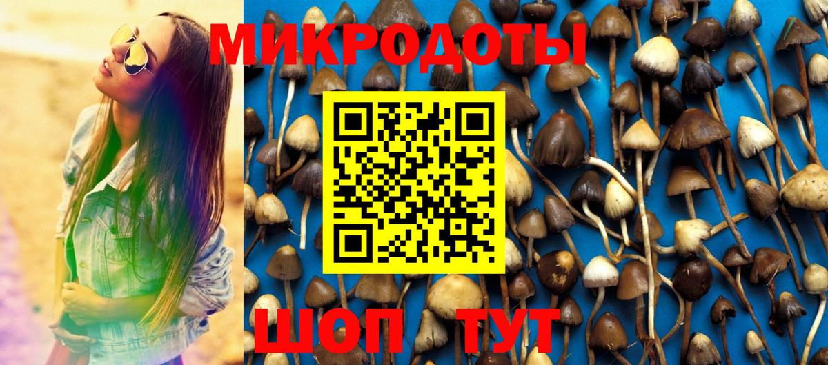 Псилоцибиновые грибы Psilocybine cubensis  Вход с VPN  Ковров 